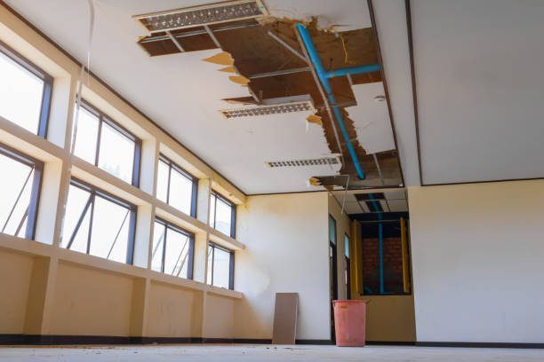 Best Professional water damage repair  in Shepherd, TX