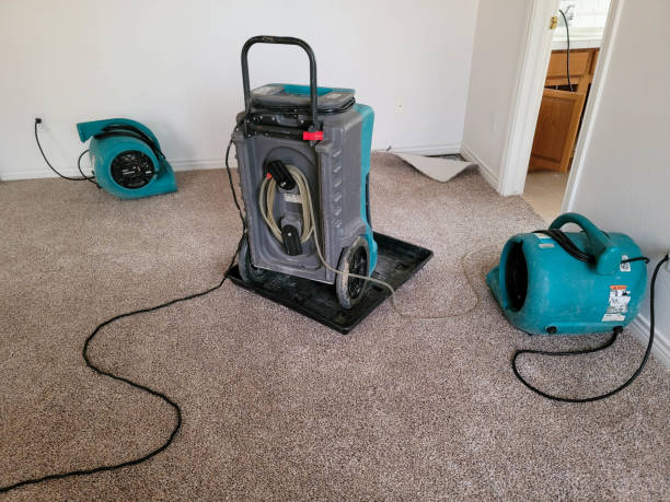 Best Flooded house restoration  in Shepherd, TX