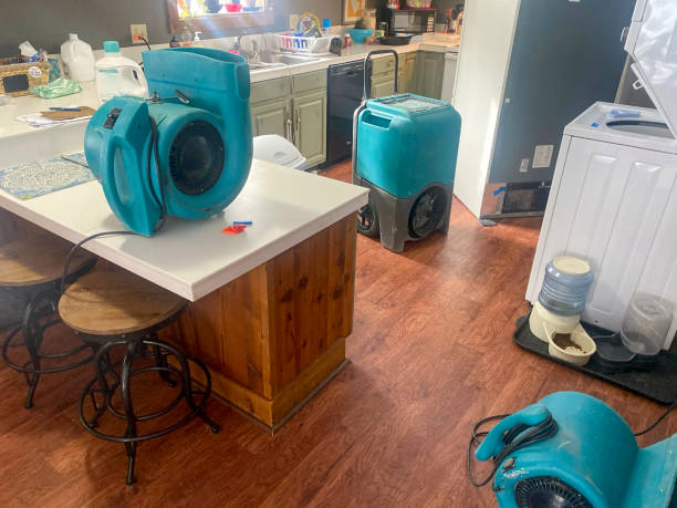 Best Commercial water damage restoration  in Shepherd, TX