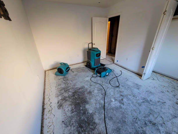 Best Water damage contractors near me  in Shepherd, TX