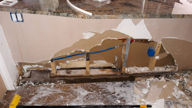 Best Water damage cleanup near me  in Shepherd, TX
