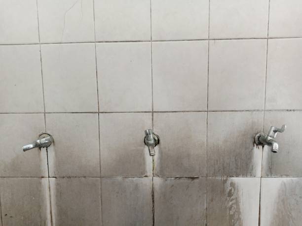 Best Local water damage restoration  in Shepherd, TX
