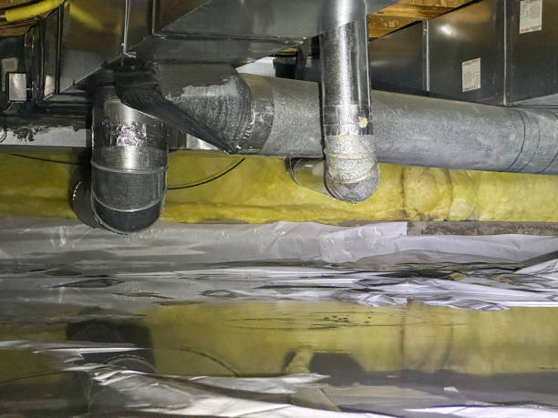 Best Water damage restoration experts  in Shepherd, TX
