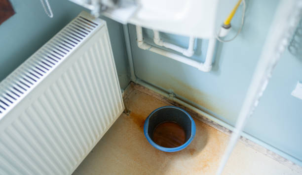 Best Water damage restoration company  in Shepherd, TX