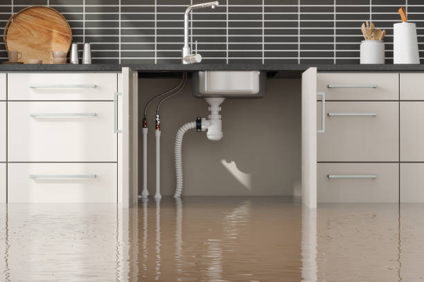 Best Basement water damage restoration  in Shepherd, TX