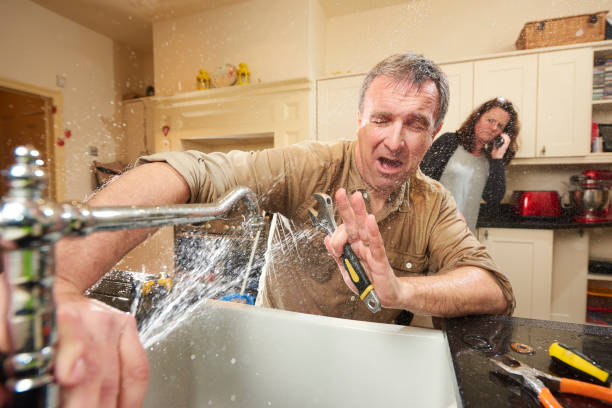 Best Fire Damage Restoration  in Shepherd, TX